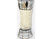 ���� �������� ����������