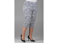 ����� ���� 503 ����� ���� �����.jpg