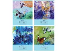 ������� 24�. ������ Butterfly, ������� 10,80.jpg