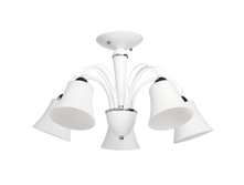 297011405  3700p.png