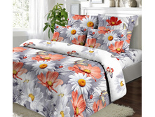 4563 ������ ���� ��� 2.jpg