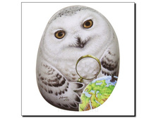 ��������� ��������� �������