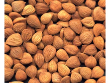 �������_���� ��������.jpg