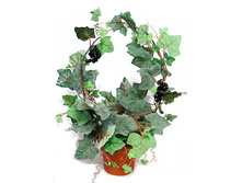 �� 55/130 - 952 - ������ 25%