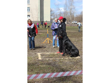 �� ������.JPG