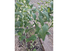 20150525 195422 Richtone(HDR).jpg