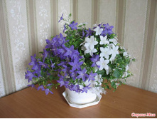 ����� � �������.jpg