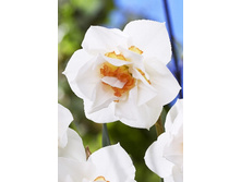 15,12���. ������� ���� ���(��� 10 ��. ���������� ������ 5��.)���15.jpg