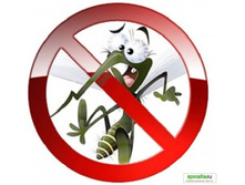 �������������� ������������ �������