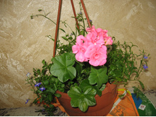 ������ �������.JPG