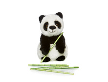 ����� - 549,04 ������