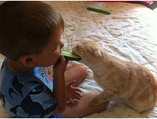 ���������)