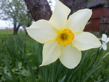20150517 154248.jpg