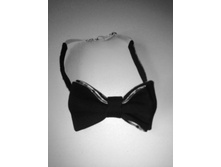 �������-������� � 3   110�.