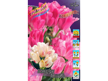 18���. ������� ����� ����(��� 10 ��. ���������� ������ 5��.).jpg