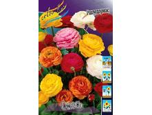 7,19���. ���������� �����(���������� ������ ������ ���������� �� 10 ��.).jpg