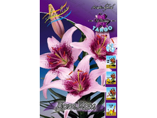 32,42���. �����  ���.���(�������� ���� �� 10 ��., ����������� ����� 1��.).jpg