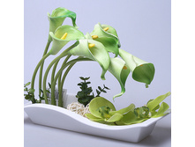 ���������� �� ������������� ������ � ������������ ����� YX 11092 1100 �.jpg