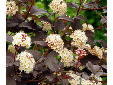 ������������� ������������� �������. 100 ��� �������� 7 ��..jpg