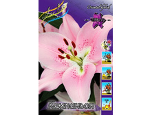 39,96���. �����  ���������(�������� ���� �� 5 ��., ����������� ����� 1��.)���14.jpg