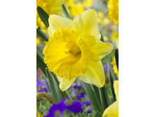 15,12���. ������� ���� ��(��� 10 ��. ���������� ������ 5��.)���14.jpg