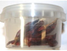 ����� ���� ���y���.jpg