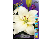 19,63���. �����  ����(��� 10 ��. ���������� ������ 5��.).jpg