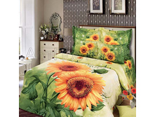 ��������� ������.jpg