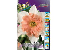 34,59���. ������� ���� ���(�������� ���� �� 7 ��., ����������� ����� 1��.).jpg