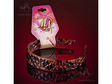 �2501 " ��������"     ������  (2,5 ��)  ��� 6 ����