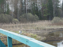 DSC02695.JPG