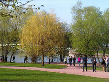IMAG3668.jpg