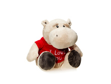 ������� ���� � �������� 29 �� - 461,30 ������