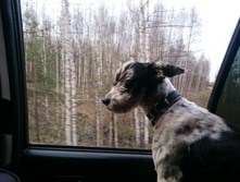 ������ ��� �������� ).JPG