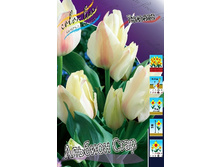 12,23���. ������� ������� ����(��� 10 ��. ���������� ������ 5��.).jpg