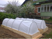 5558f23f151bf foto0216.jpg