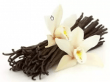 ������ ���������� ������ 1 ��.png