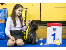 11088037 IMG 0051.jpg