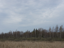DSC02692.JPG