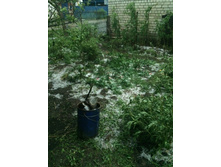 ��� ������(