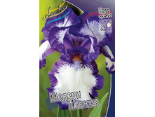 82,4���. ���� ���������� ������ �������(�������� ���� �� 3 ��., ����������� ����� 1��.).jpg