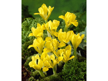 9,12���. ���� ��������(���������� ������ ������ ���������� �� 15 ��.).jpg