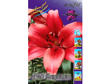 21,05���. �����  ��� ������(��� 10 ��. ���������� ������ 5��.)���14.jpg