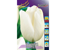 11,51���. ������� ������(��� 10 ��. ���������� ������ 5��.).jpg