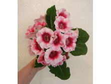 ������ �����1.jpg