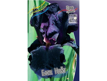 75,9���. ���� ���������� ���� ����(�������� ���� �� 3 ��., ����������� ����� 1��.).jpg