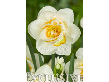 76,38���. ������� ���������(�������� ���� �� 5 ��., ����������� ����� 1��.)���14.jpg