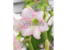 153,45���. ����������� �������� ���� �������(�������� ���� �� 2 ��., ����������� ����� 1��.)���15.jpg