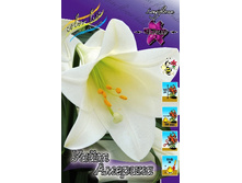 24,6���. �����  ���� �������(��� 10 ��. ���������� ������ 5��.)���14.jpg