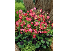 2,63���. ������� (�������) ����� �����(���������� ������ ������ ���������� �� 15 ��.).jpg